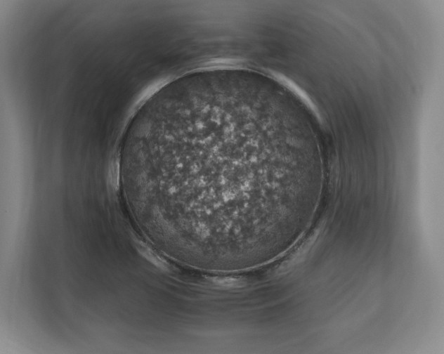 X0000110891413200906251308