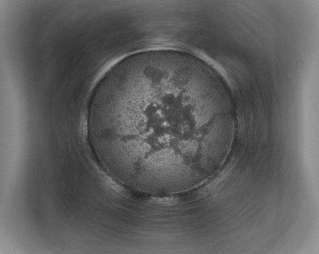 X0000110891415200906251308