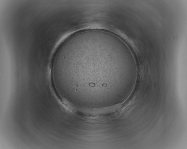 X0000110891416200906251308