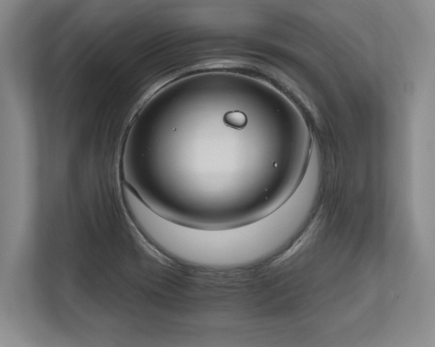 X0000110891417200906251308
