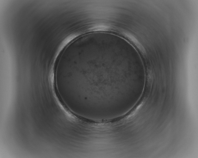 X0000110891418200906251308