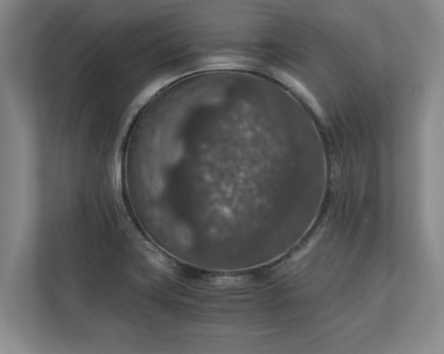 X0000110891419200906251308