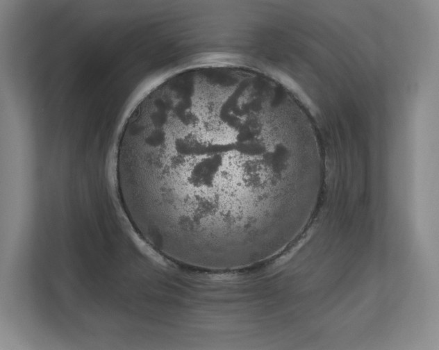 X0000110891421200906251308