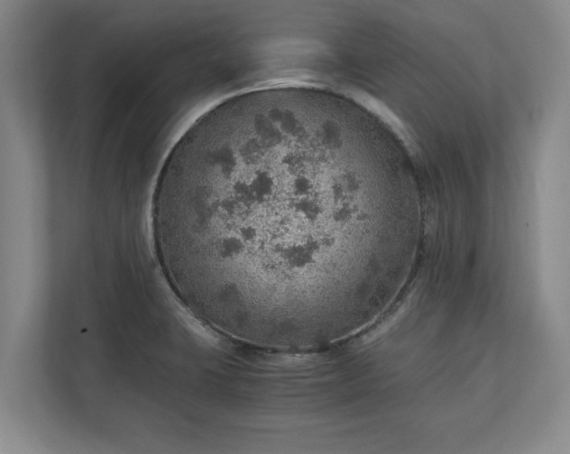 X0000110891423200906251308