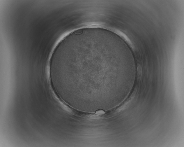 X0000110891424200906251308