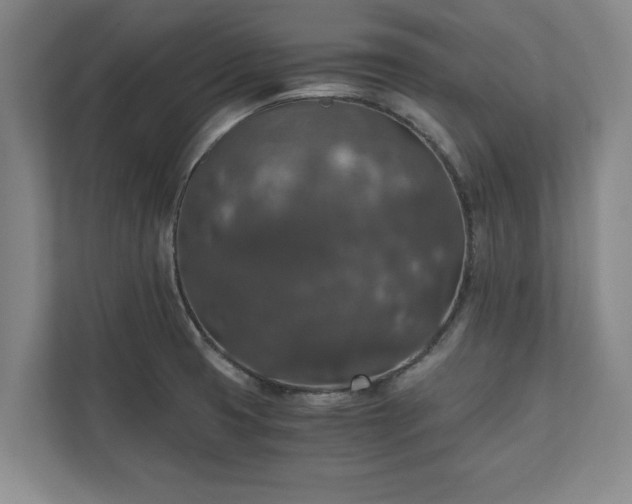 X0000110891425200906251308