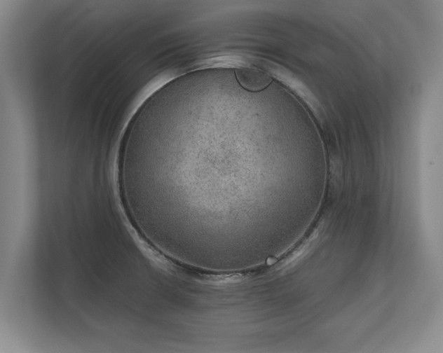 X0000110891426200906251308