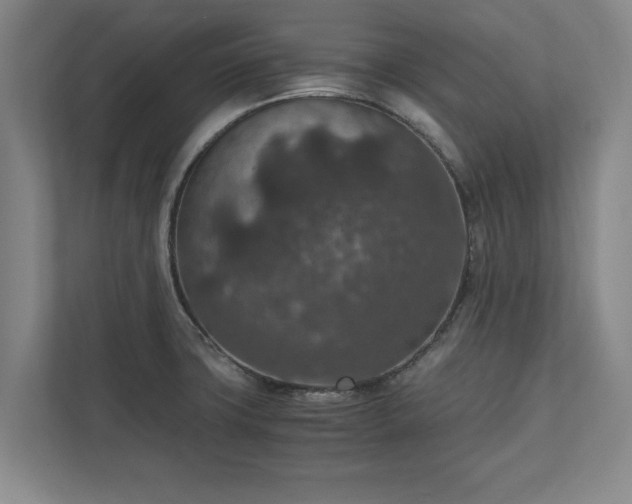 X0000110891427200906251308