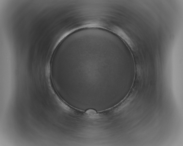 X0000110891428200906251308