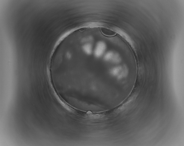 X0000110891429200906251308