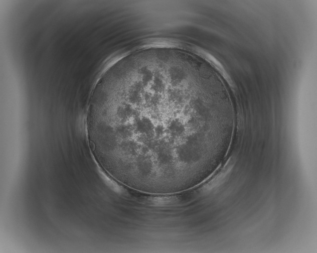 X0000110891433200906251308