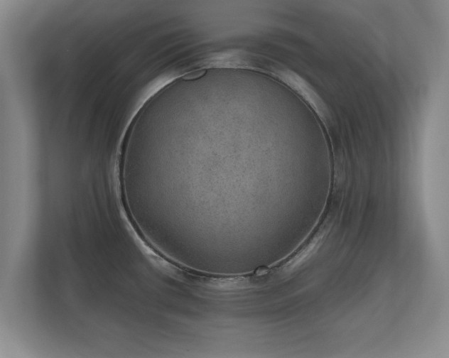 X0000110891434200906251308