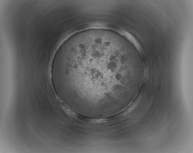 X0000110891435200906251308
