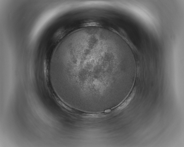 X0000110891438200906251308