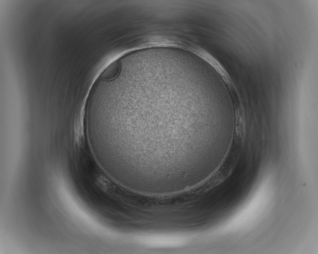 X0000110891439200906251308