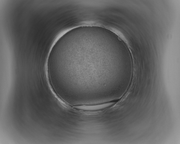 X0000110891440200906251308