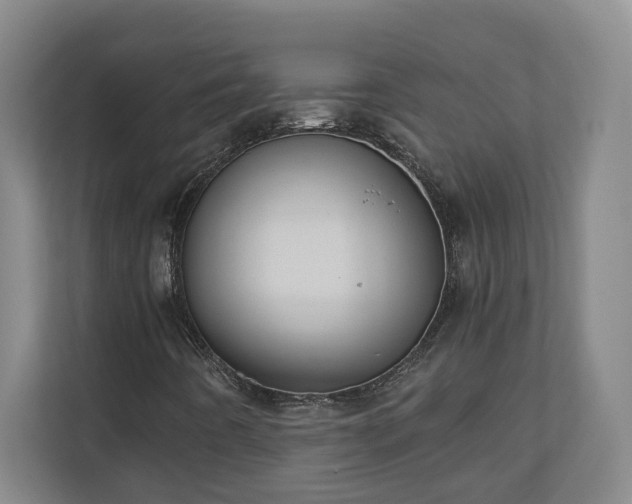 X0000110891442200906251308