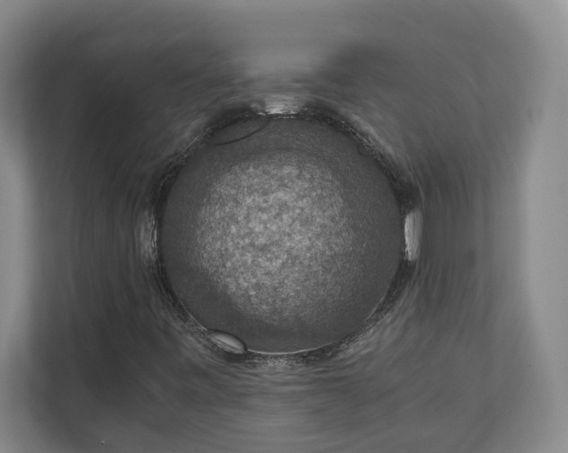 X0000110891443200906251308