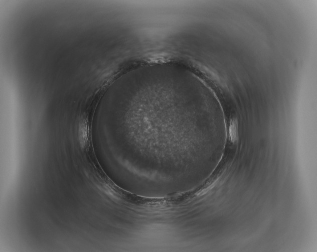 X0000110891444200906251308