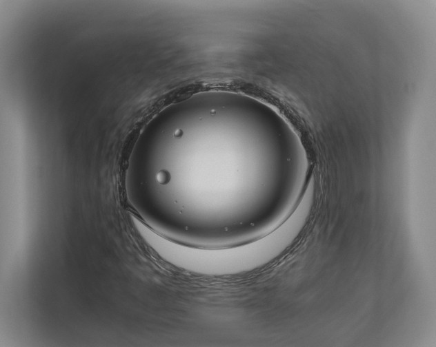 X0000110891445200906251308