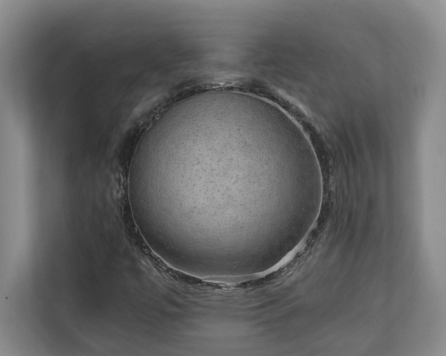 X0000110891447200906251308