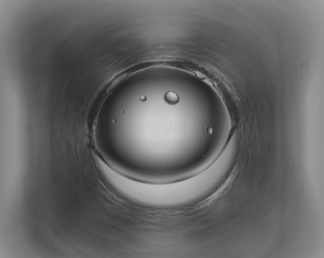 X0000110891449200906251308
