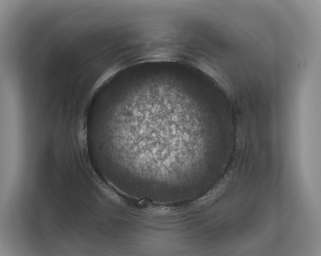 X0000110891450200906251308