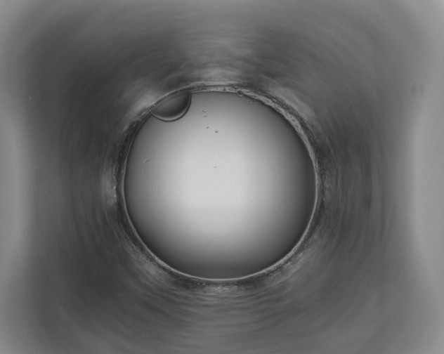 X0000110891451200906251308
