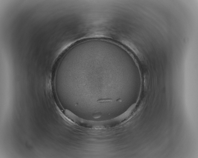 X0000110891452200906251308