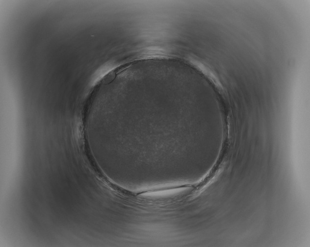 X0000110891453200906251308