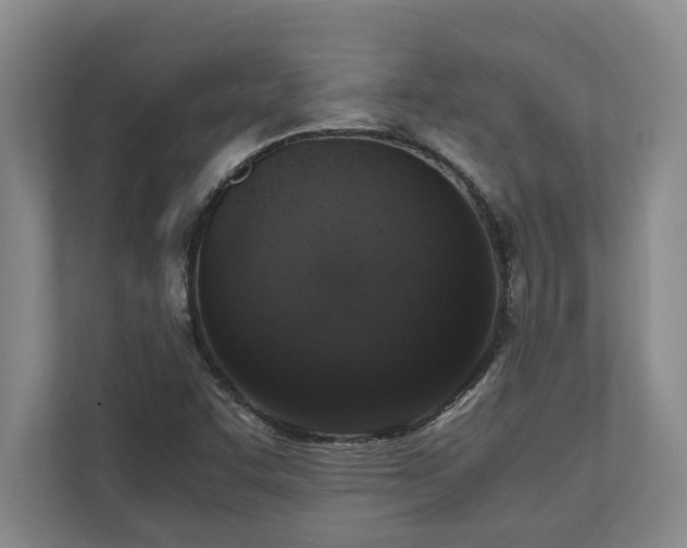 X0000110891455200906251308