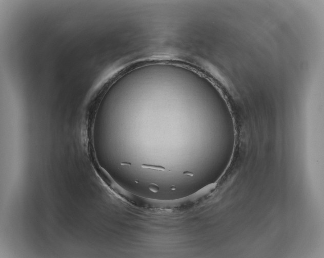 X0000110891456200906251308