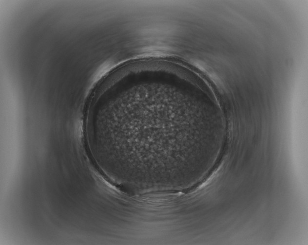 X0000110891459200906251308