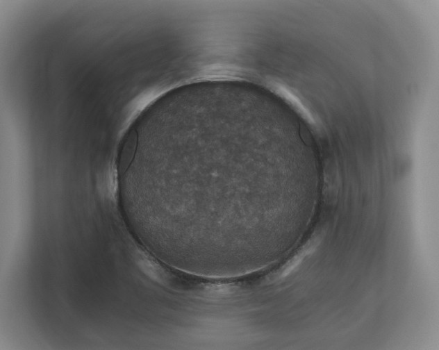 X0000110891461200906251308