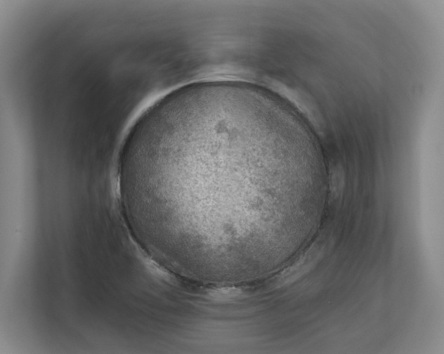 X0000110891462200906251308