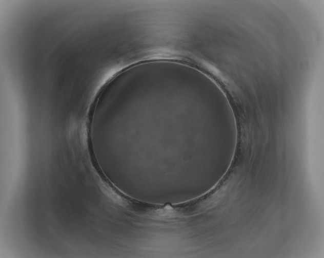 X0000110891463200906251308