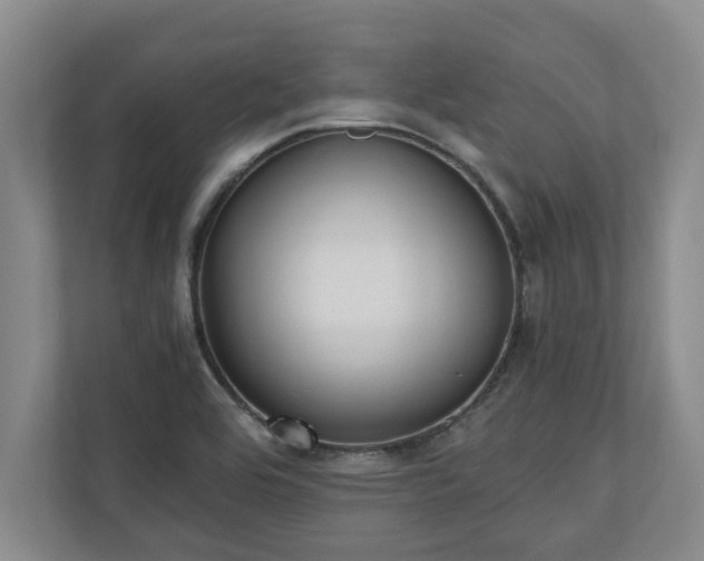 X0000110891464200906251307