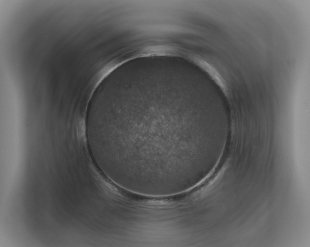 X0000110891465200906251307