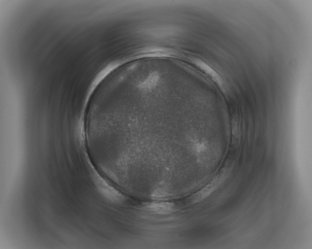 X0000110891466200906251307