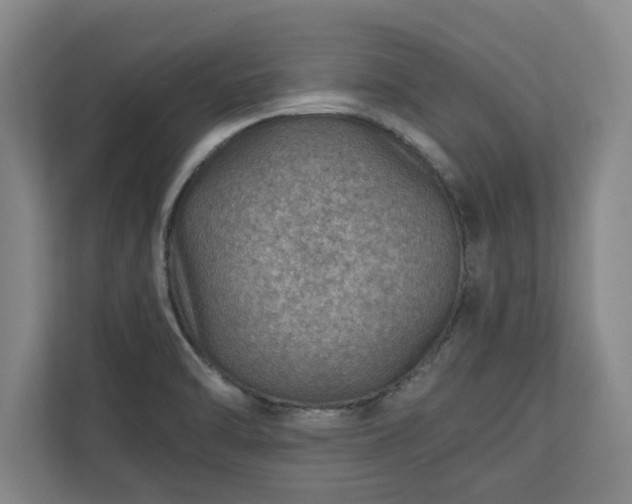 X0000110891470200906251307