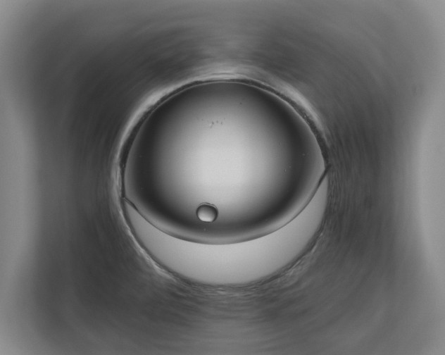 X0000110891472200906251307