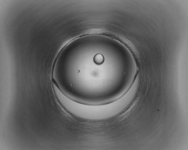 X0000110891473200906251307