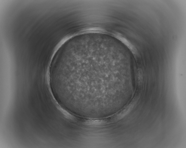 X0000110891474200906251307