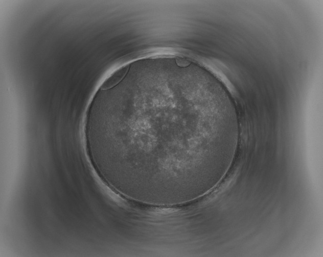 X0000110891475200906251307