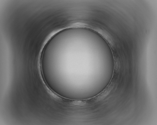 X0000110891478200906251307