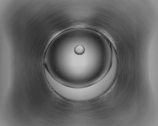 X0000110891481200906251307