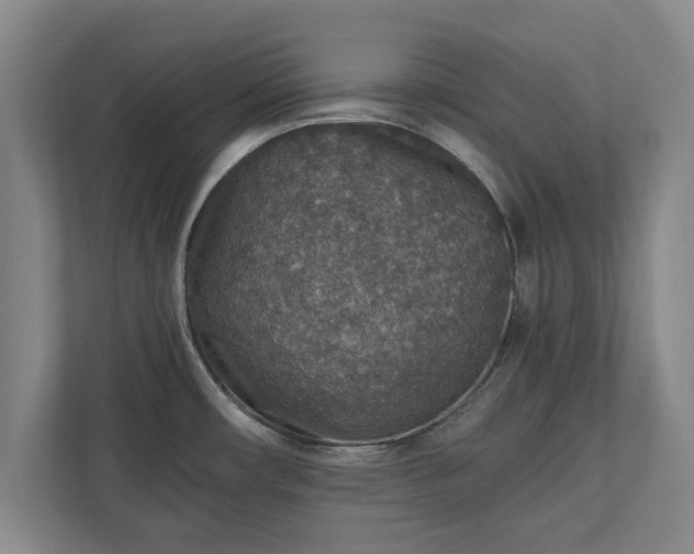 X0000110891482200906251307