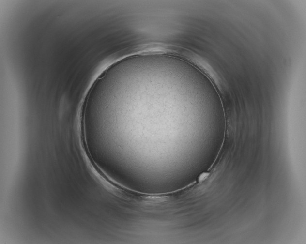 X0000110891483200906251307