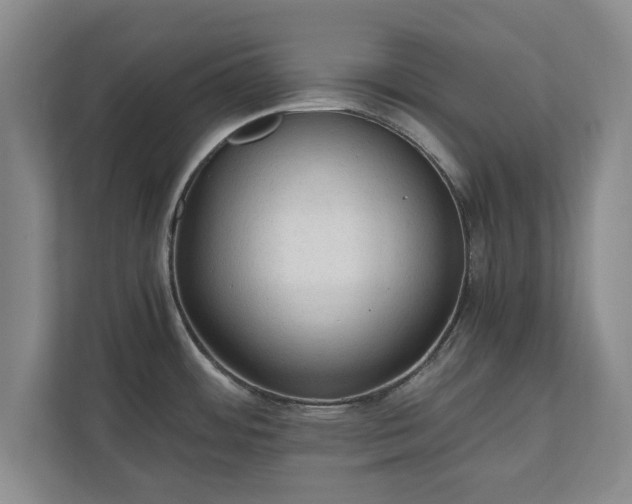 X0000110891484200906251307