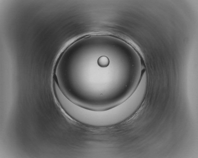 X0000110891485200906251307